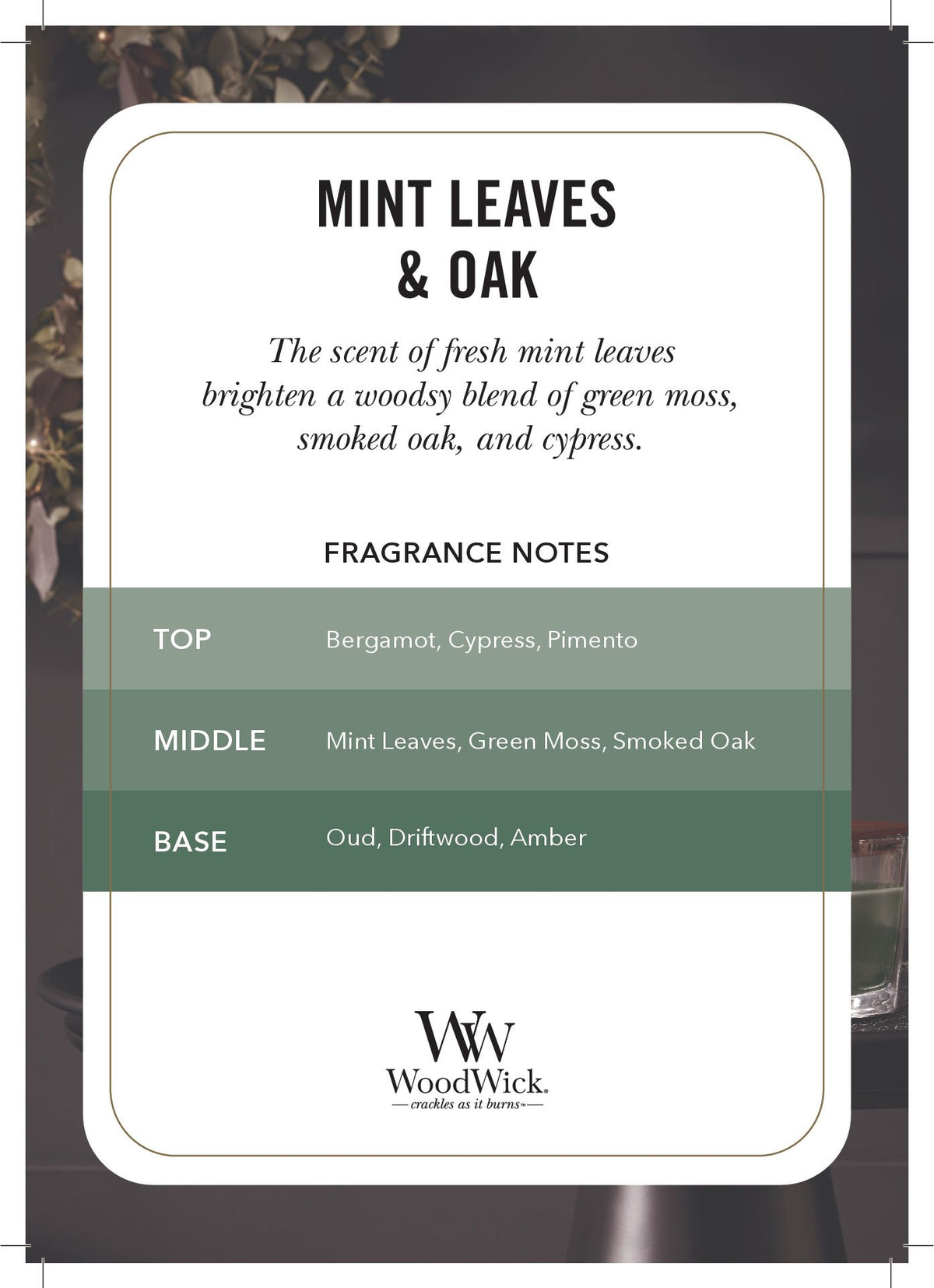 WoodWick Ellipse Mint Leaves & Oak Ellipse