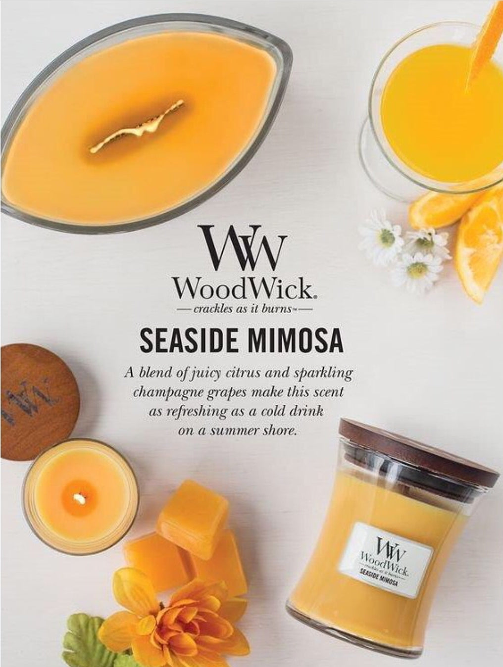 WoodWick Seaside Mimosa Medium